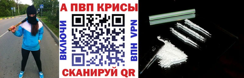 A-PVP СК  Курганинск 