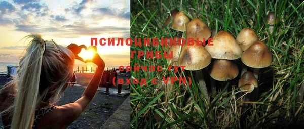 ГАЛЛЮЦИНОГЕННЫЕ ГРИБЫ Беломорск