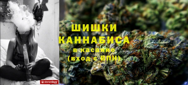 ГАЛЛЮЦИНОГЕННЫЕ ГРИБЫ Беломорск